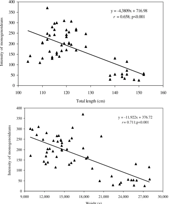 Figure  4.  Correlation  between  the  intensity  of  monogenoideans  (D.  cycloancistrium  and  D