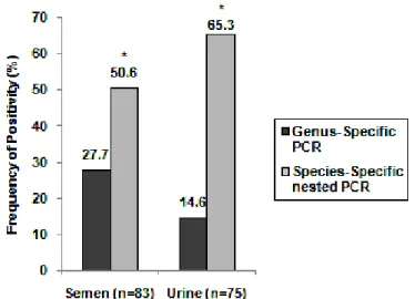 Figure  1.  Frequency  of  positivity  (%)  of  Brucella  ovis  detection  by  genus-specific  PCR  and  species- species-specific nested in semen and urine samples from experimentally infected rams with the REO 198 strain  (*P<0,001)