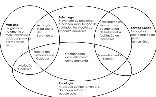 Figura 3 - O papel dos membros da Equipa Multidisciplinar 