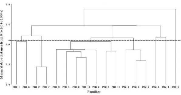 Figure 1. Dendogram obtained from the Euclidean distance and single linkage clustering method, among  families  of  races  Barred  Plymouth  Rock  and  White  Plymouth  Rock  considering  egg  production  accumulated in different periods