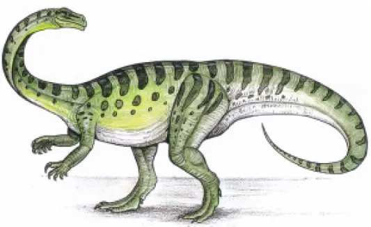 Fig. 9 – Reconstruction of a prosauropod. This group of dinosaurs was recently found in Triassic strata of Rio Grande do Sul.