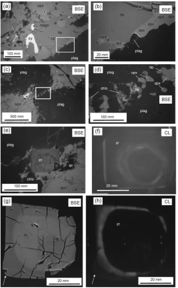 Fig. 5 – Backscattered electrons (BSE) and cathodoluminescence (CL) images from a thin section of the dated sample AL-1