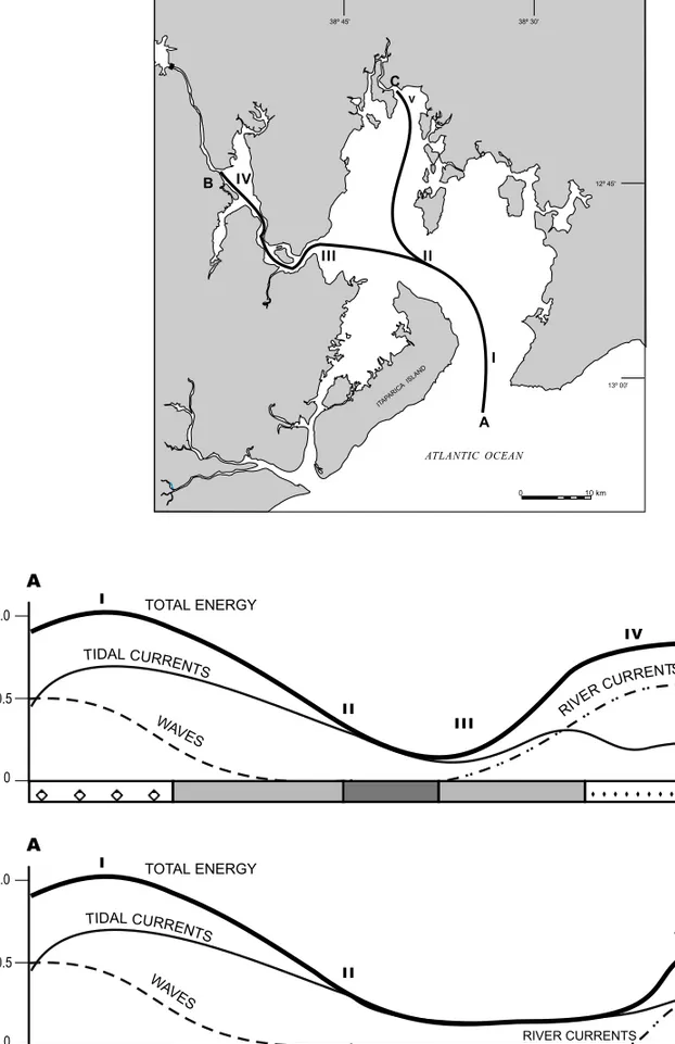 Fig. 11 – Schematic distribution of the energy level and sedimentary facies along the main axis of the TSB and along Paraguaçu Channel and Paraguaçu River