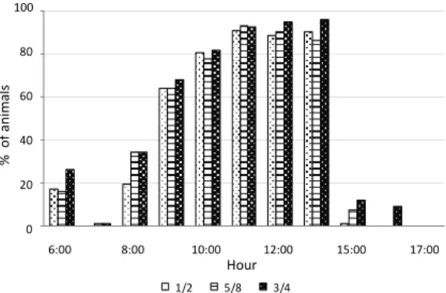 Figure 2. Distribution of behavior activities of Girolando cows in  feedlot system. 
