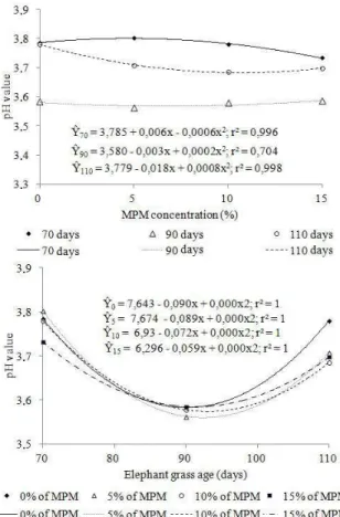 Figure 5. Effect of mesquite pod meal (MPM) concentration and  elephant grass age on the level of MM in elephant grass silages