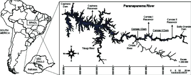 Figure 1. Partial view of the Paranapanema river and its principal affluents (rivers Tibagi and Cinzas)