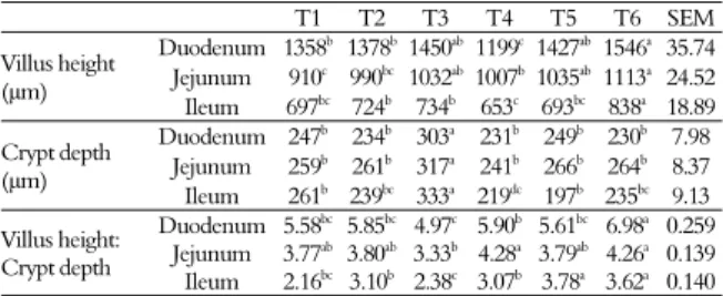 Table 5. The effect of different treatments on morphological  characteristics of small intestine at 21 days of age