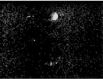 Fig. 9 – Image of the laser beam at approximately one second after the beginning of the pulse.