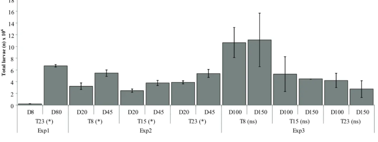 Figure 3. Mean and standard deviation of total number of larvae in the experiment 1 (treatment D80) at 23 days (T23) of larviculture,  experiments 2 (treatments D20 and D45) and 3 (D100 and D150) at 8 (T8), 15 (T15) and 23 (T23) days of larviculture, all t