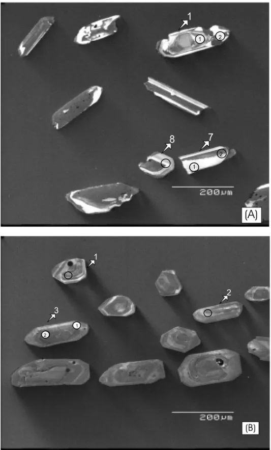 Fig. 3 – (A) CL images of zircon grains from felsic metavolcanic rock (sample ANA 128) of the Silvânia Sequence