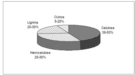 Figura 1  –  Representação gráfica da composição química média do bagaço de cana  –  de  –  açúcar (NASCIMENTO, 2010)