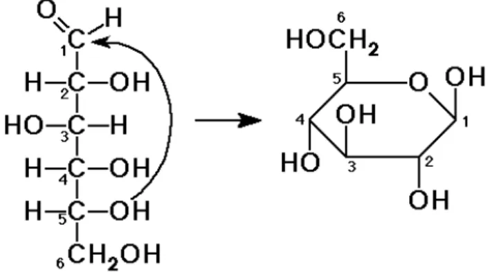 Figura 4 - Estrutura química da D-glicose (CRUZ, 2010). 