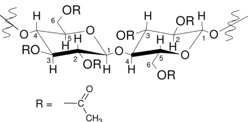 Figura 7 - Estrutura do acetato de celulose (CRUZ, 2010). 