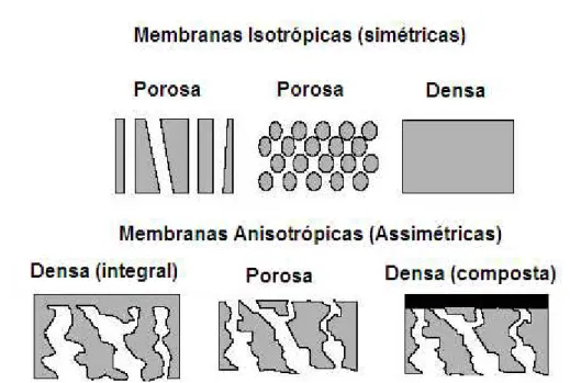 Figura  9  -  Representação  esquemática  da  secção  transversal  dos  diferentes  tipos  de  morfologia de membranas (MEIRELES, 2011)