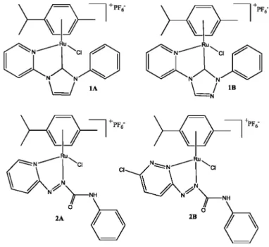 Figura 7. Exemplos de complexos de rutênio-arenos utilizados como catalisadores.