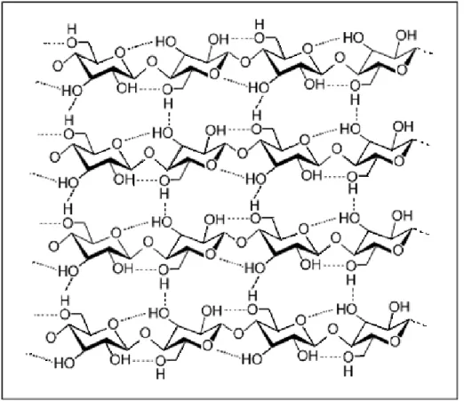 Figura  5.  Esquema  representando  as  ligações  de  hidrogênio  intramoleculares  e  intermoleculares da celulose