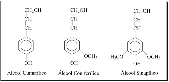 Figura 7. Estruturas esquemáticas dos alcoóis precursores das ligninas.