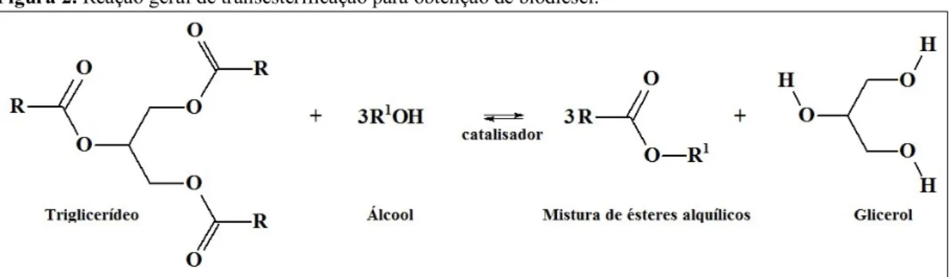 Figura 2. Reação geral de transesterificação para obtenção de biodiesel.  