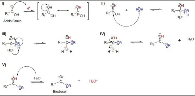 Figura 5. Mecanismo da reação de esterificação de ácidos graxos catalisada por ácido de Brönsted