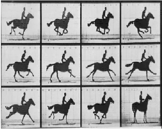 Figura 2.6. Fotos seqüenciais de cavalos galopando [32]. 