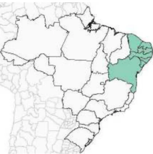 Figura 1: Distribuição da abelha sem ferrão, Melipona scutellaris. Em destaque, Estados  do Brasil (Alagoas, Bahia, Ceará, Paraíba, Pernambuco, Rio Grande do Norte e Sergipe)  de  ocorrência  natural  de  M