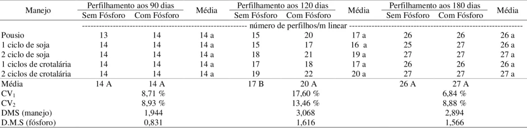 Tabela 4. Perfilhamento da cana-planta no Experimento II nas avaliações realizadas aos 90, 120, e 180 dias após o plantio
