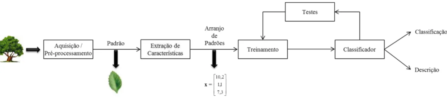 Figura 2.3: Principais etapas do reconhecimento de padr˜oes. Adaptado de [48].