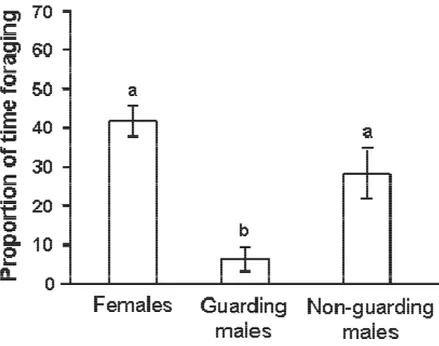 Figure  2.  Mean  proportion  of  records  (±  standard  deviation)  in  which  females  (n  =  17),  guarding (n = 6), and non/guarding males (n = 11) of the harvestman # sp