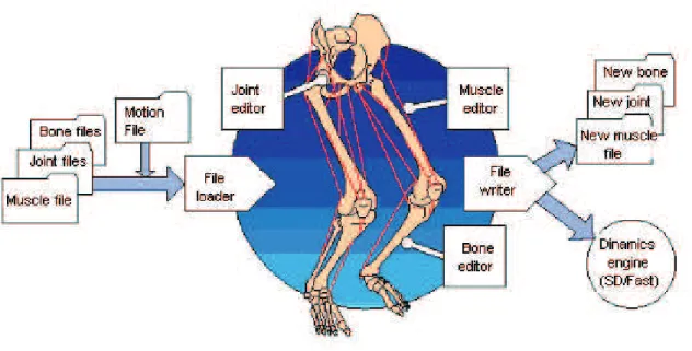 Figura 2.2: Estrutura do SIMM [DELP e LOAN 2000]