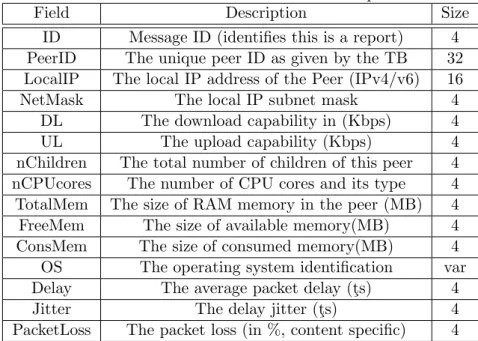Table 3: Structure for the NMS data report