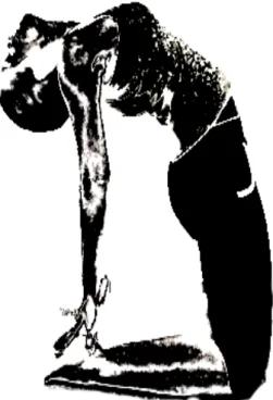 Figura 24 - Postura do Camelo (Ushtrasana) 