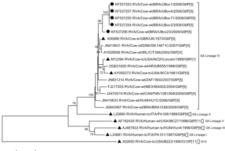 Figure  1.  0.1 Molecular  phylogenetic  analysis  by  maximum-likelihood  method  based  on  VP7  nucleotide  sequences