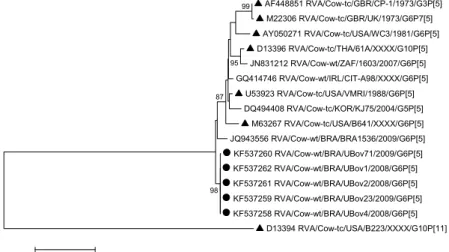 Figure  3.  Molecular  phylogenetic  analysis  by  maximum-likelihood  method  based  on  VP4  nucleotide  0.2