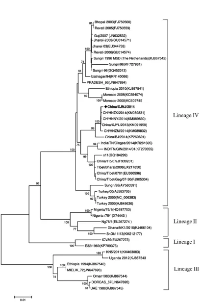Figure 2. Phylogenetic tree based on the complete sequence of N protein gene constructed, it can  show  actual  time  and  region  sources  of  PPRV  strain