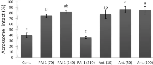 Figure  3.  Post-thawing  acrosome  integrity  of  Curraleiro  Pé-Duro  bovine  semen  cryopreserved  at  different  concentrations  of  serine  proteases  inhibitors  Antipain  (10,  50  e  100µg)  and  inhibitor  plasminogen activator 1 - PAI 1 (70, 140 