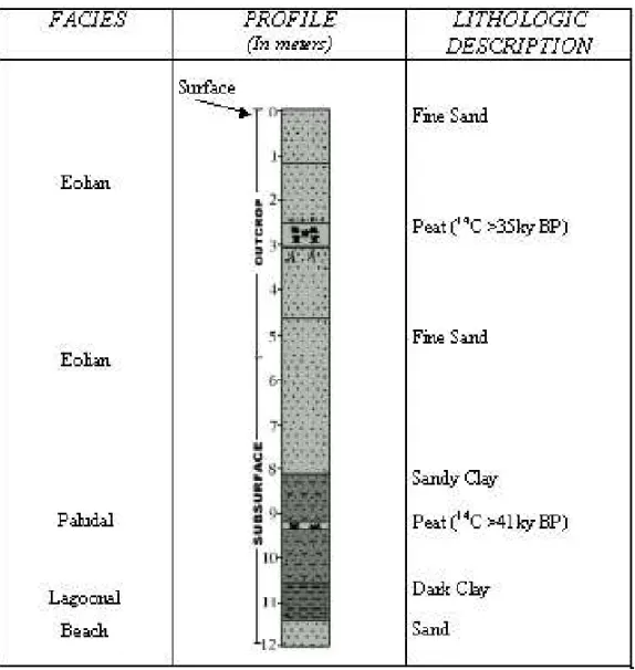 Fig. 5 – Drilling profile integrated with the outcrop data in Guaiúba Beach (28 ◦ 17’10”S/