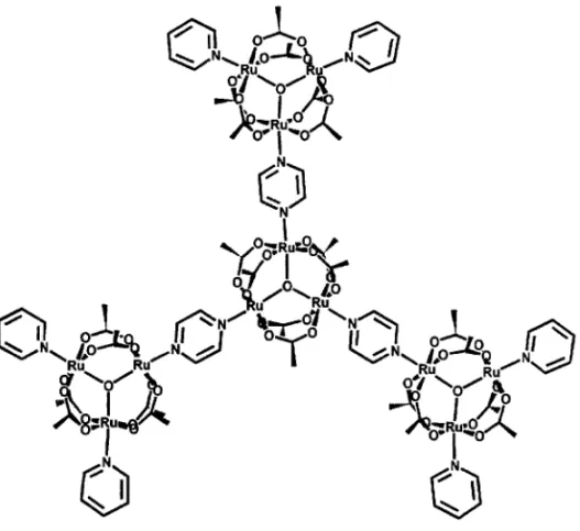Fig. 5 – Structural representation of a supramolecular cluster.