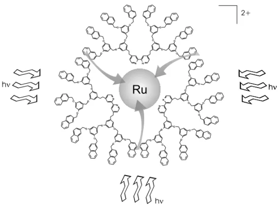 Fig. 3 – Schematic representation of ligth absorption and energy-transfer processes in the naphthalene substituted dedritic-bpy ruthenium(II) complex.
