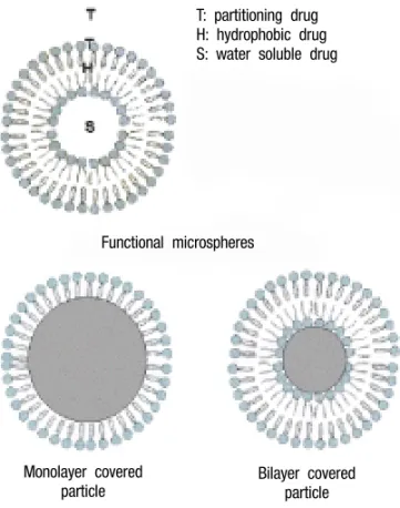 Fig. 1 – Bilayer vesicles and liposomes as drug carriers or as sources of organized supramolecular assemblies to cover solid particles.