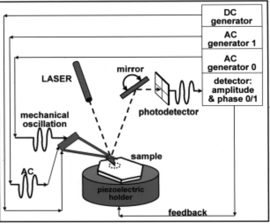 Fig. 1 – Schematic set-up of the scanning electric potential microscope.