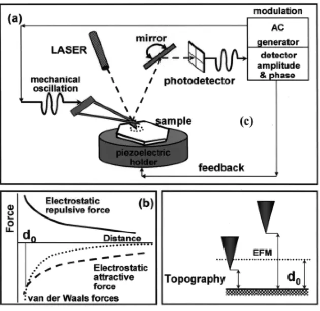 Fig. 3 – A schematic set-up of the electric force microscope (upper frame). The lower left shows the difference in the dependence of the van der Waals and electrostatic forces with distance, which is the basis for this technique: when the image is scanned 