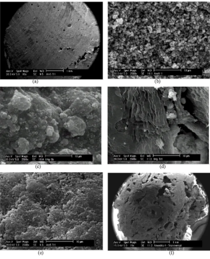 Fig. 3 – SEM micrograph results from: (a) composite V, (b) composite III, (c) composite III (from HApIII), (d) composite I transversal section, (e) composite V transversal section, and (f) composite IV transversal section (with 0.3% Aluminum addition).