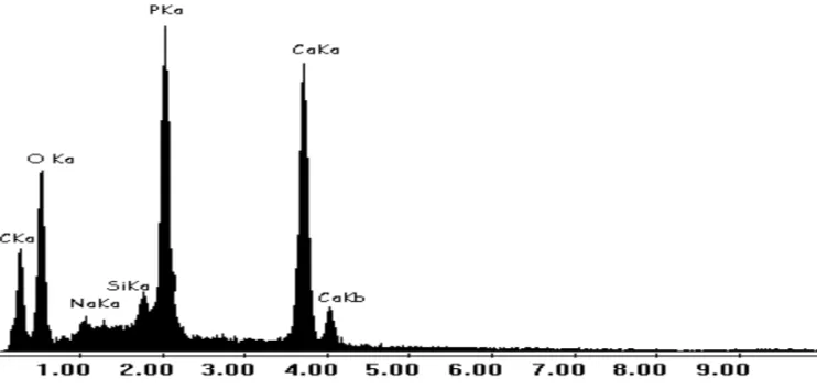 Fig. 5 – X ray dispersive energy pattern from sample of: composite IV.