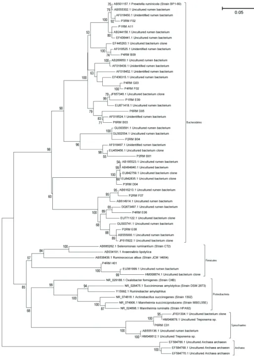 Figure 3. Dendrogram shows the classification of operation taxonomic units (OTUs) of bovine rumen contents