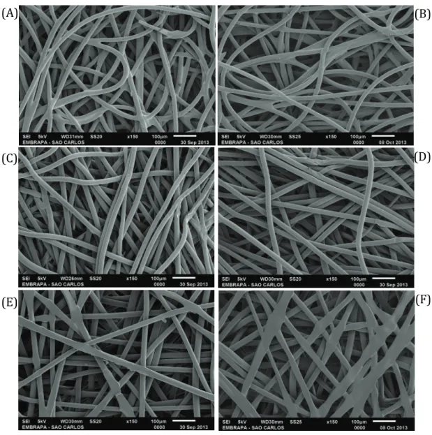 Figure 1. Scanning electron photomicrographs of blanks (BCO), (A) – F57; (B) – F57+ACETONE; (C) – NWF ‘A’; (D) – NWF 