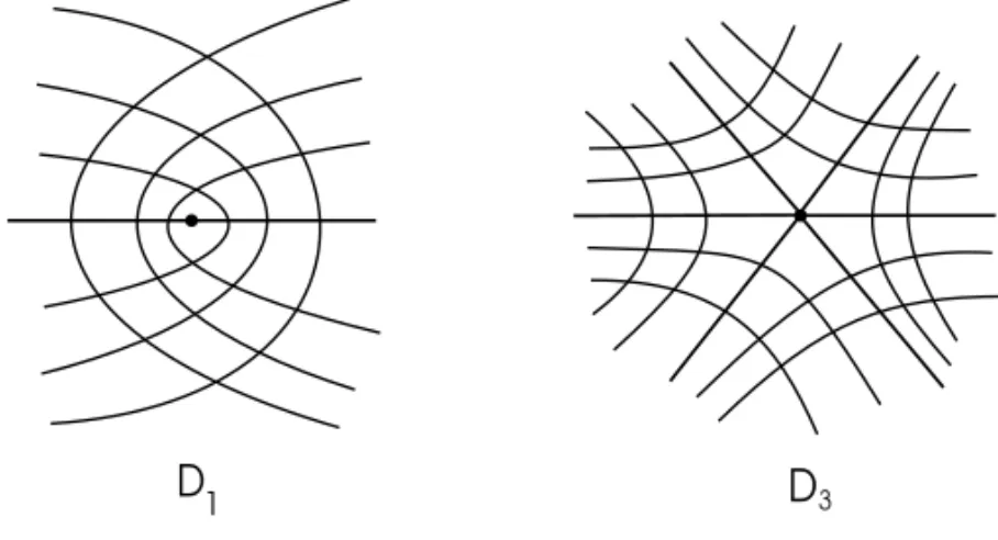 Fig. 5 – Darbouxian umbilic points D 1 and D 3 .
