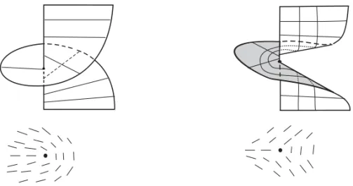 Fig. 1 – Index of Transversal Umbilic Points: left positive, right negative.