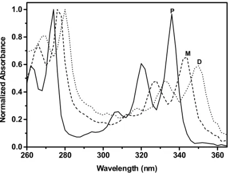 Fig. 2 – UV-vis absorption spectra of peaks in the GPC chromatogram of Figure 1c.