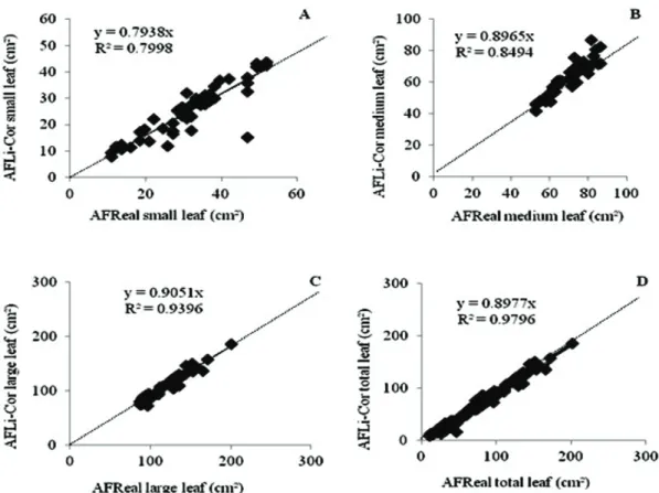 Figure 1. Relationship between the direct method (AFReal) and the treadmill leaf area meter (AFLi-Cor) for small leaf (A), medium leaf  (B), large leaf (C) and total leaf (D) of Pornunça (Manihot sp.)