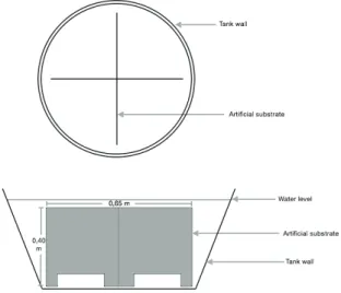 Figure 1. Layout of the Biophyton tank (BP and BP-30).   